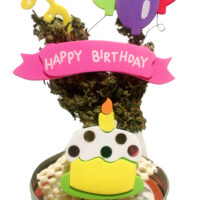 SAM - Birthday Jar