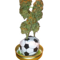 Soccer Smokeable Arrangement