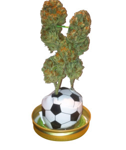 Soccer Smokeable Arrangement