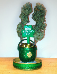 St. Patrick's Day - Smokeable Arrangements